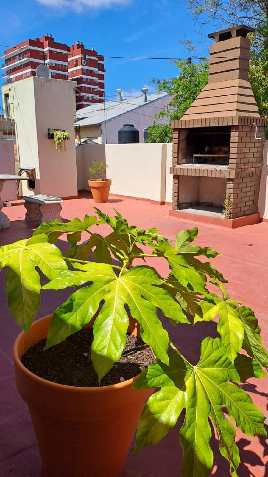 Apartamento Playa Grande La Mejor Zona De Mdp 3 Amb, Con Terraza Y Parrilla Mar del Plata